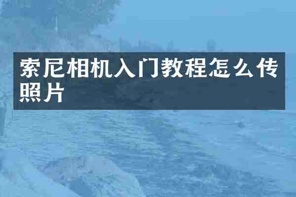 相机入门教程怎么传照片
