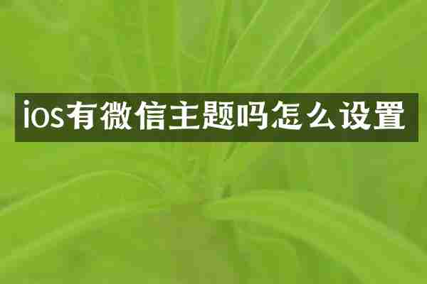 ios有微信主题吗怎么设置