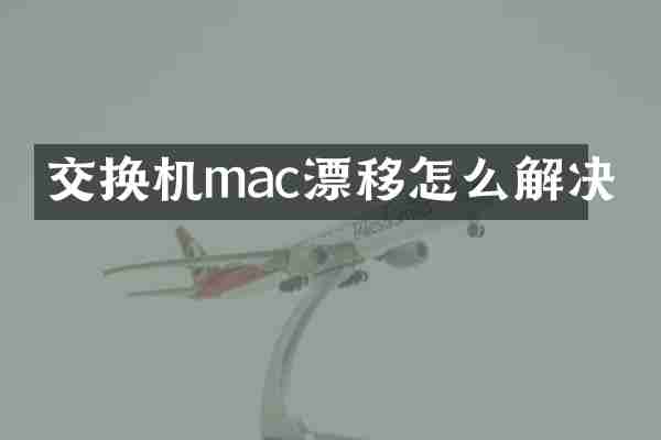 交换机mac漂移怎么解决