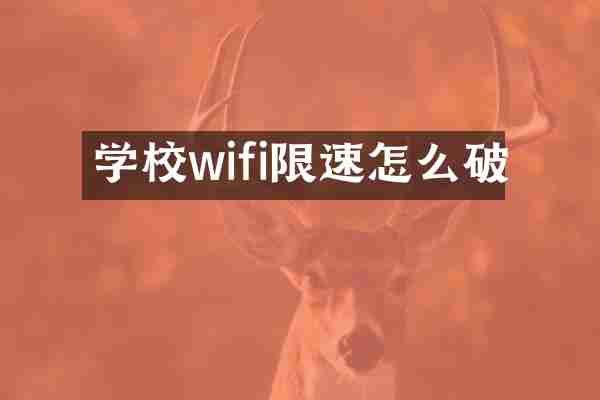 学校wifi限速怎么破