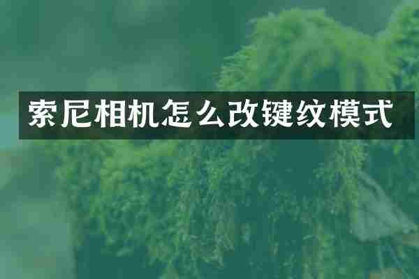 相机怎么改键纹模式