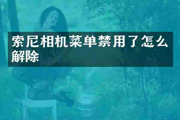 索尼相机菜单禁用了怎么解除