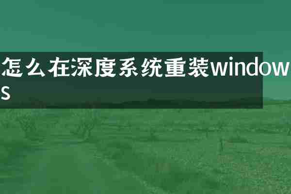 怎么在深度系统重装windows