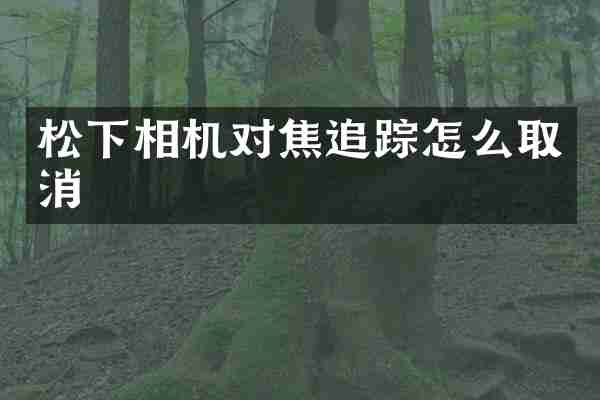 相机对焦怎么取消