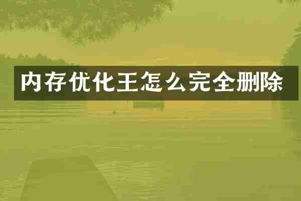 内存优化王怎么完全删除