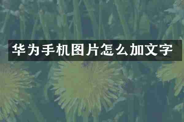 华为手机图片怎么加文字