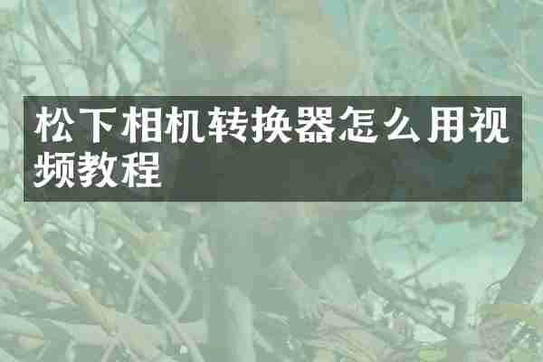 相机转换器怎么用视频教程