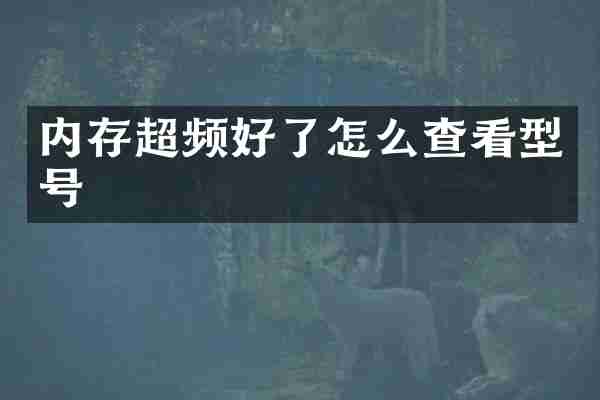 内存超频好了怎么查看型号