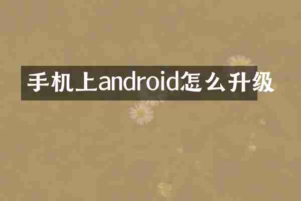 手机上android怎么升级