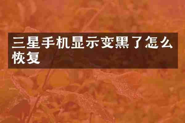 三星手机显示变黑了怎么恢复