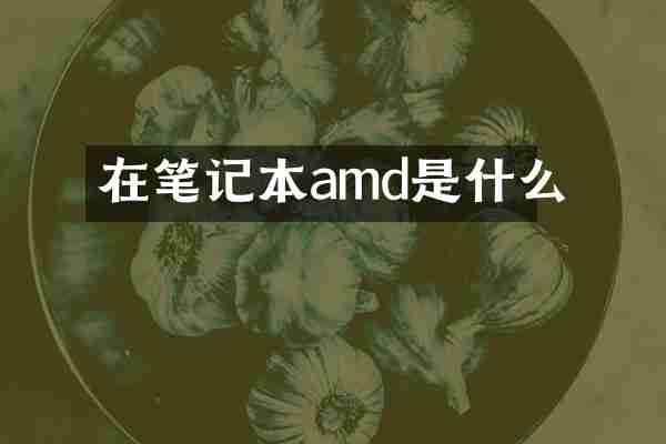 在笔记本amd是什么