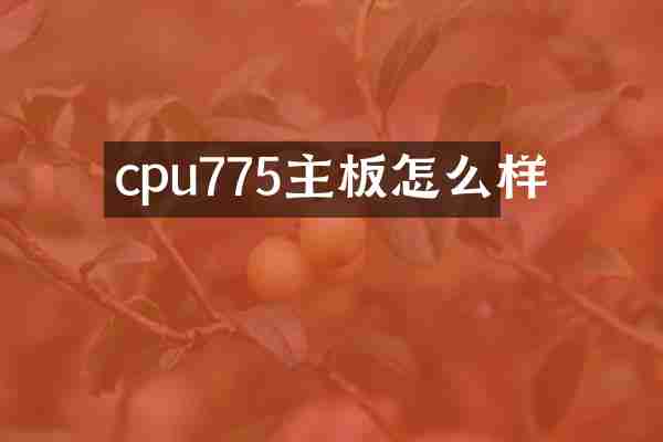 cpu775主板怎么样