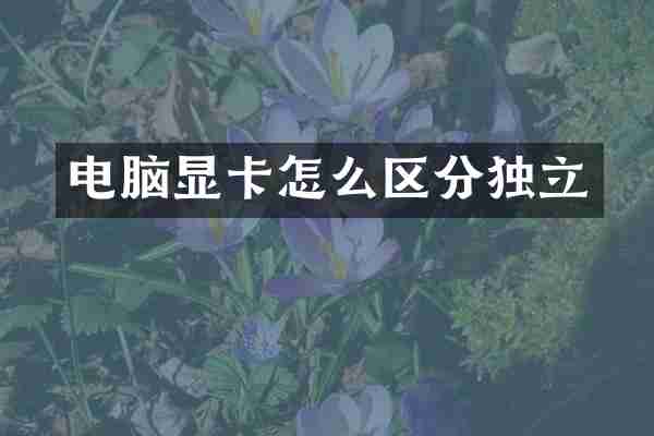 电脑显卡怎么区分独立
