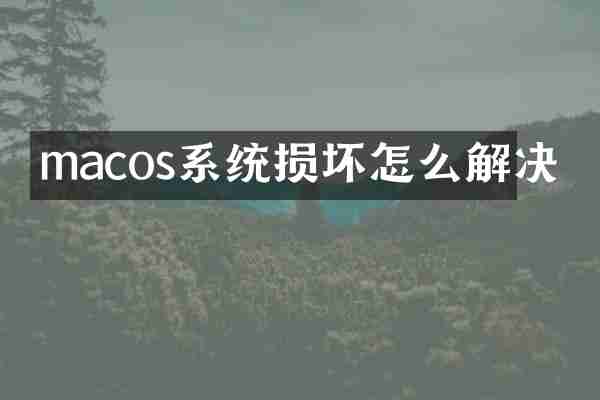 macos系统损坏怎么解决