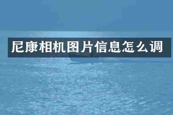 尼康相机图片信息怎么调