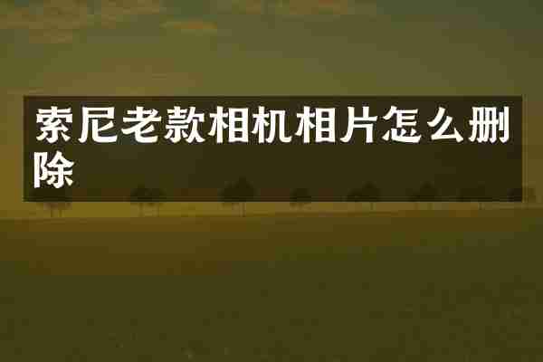 索尼老款相机相片怎么删除