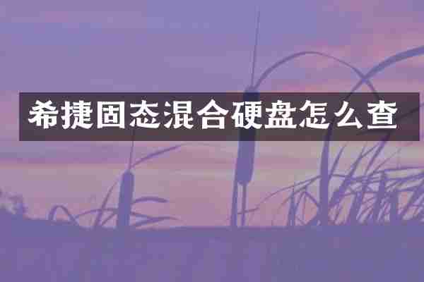 希捷固态混合硬盘怎么查