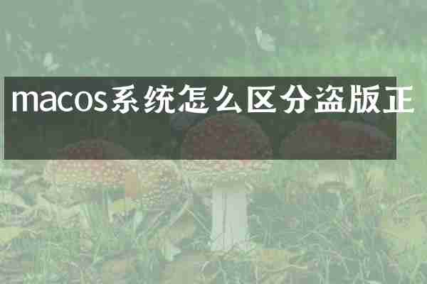 macos系统怎么区分盗版正版