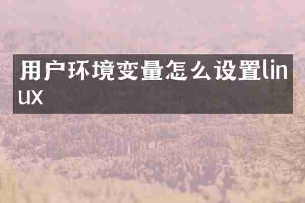 用户环境变量怎么设置linux