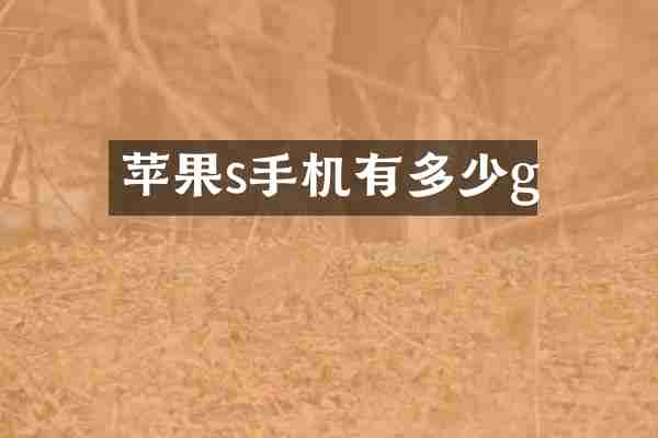 苹果s手机有多少g
