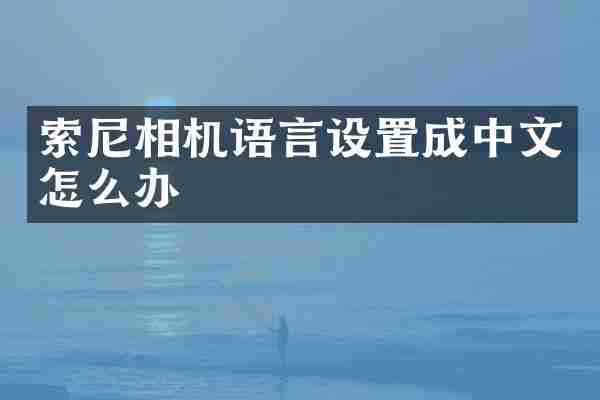 相机语言设置成中文怎么办