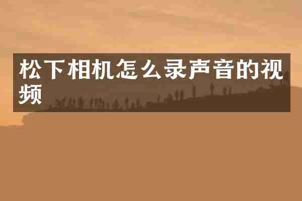 相机怎么录声音的视频