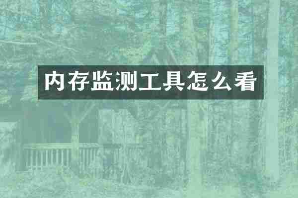 内存监测工具怎么看