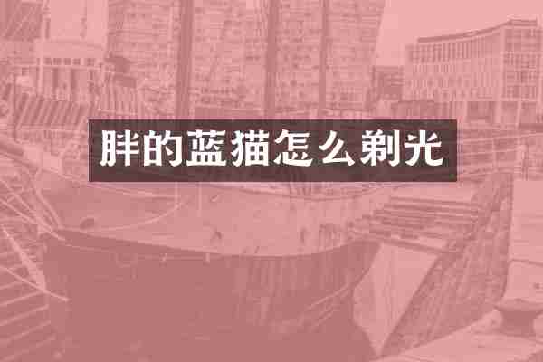 胖的蓝猫怎么剃光
