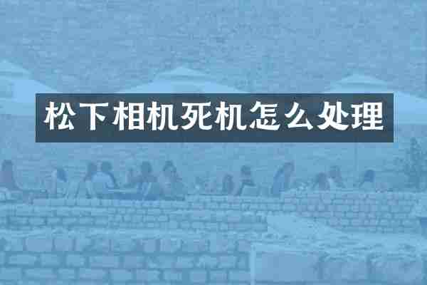 相机死机怎么处理