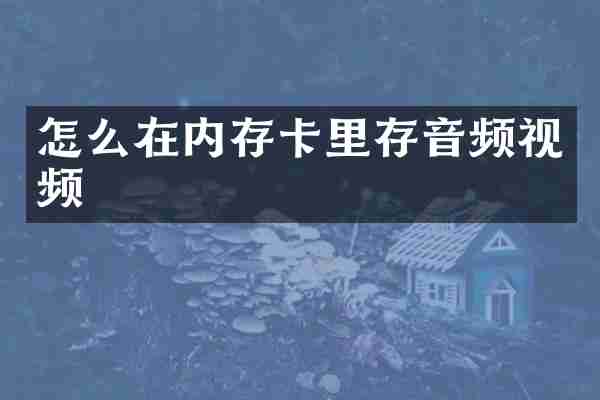 怎么在内存卡里存音频视频