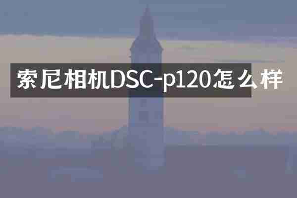 相机DSC-p120怎么样