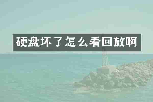 硬盘坏了怎么看回放啊