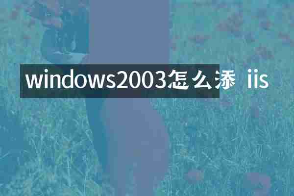 windows2003怎么添 iis