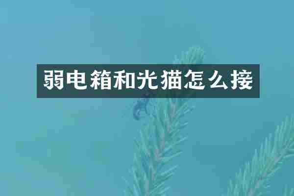 弱电箱和光猫怎么接