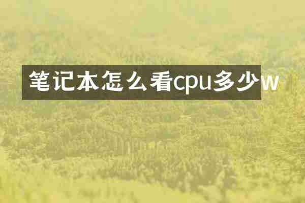 笔记本怎么看cpu多少w