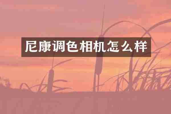 尼康调色相机怎么样