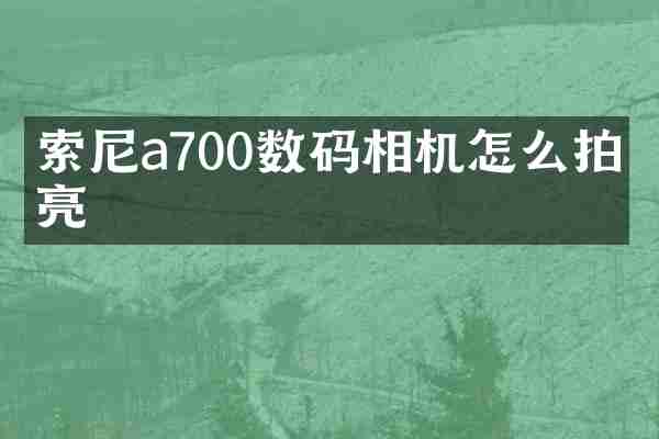 索尼a700数码相机怎么拍月亮