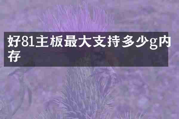 好81主板最大支持多少g内存