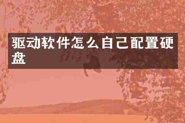 驱动软件怎么自己配置硬盘
