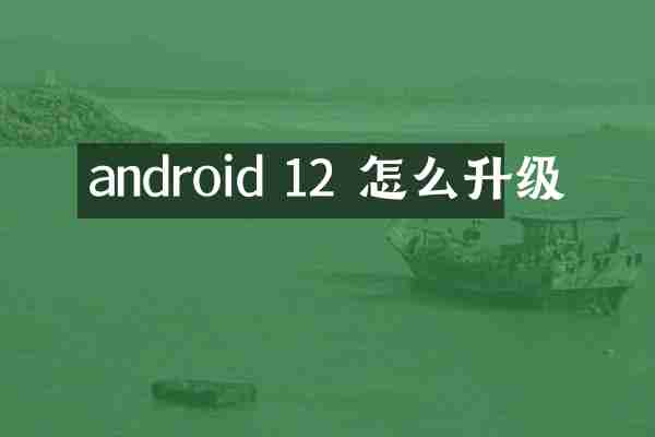 android 12 怎么升级