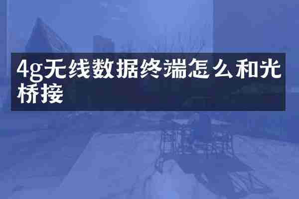 4g无线数据终端怎么和光猫桥接