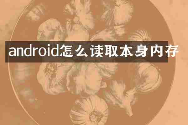 android怎么读取本身内存