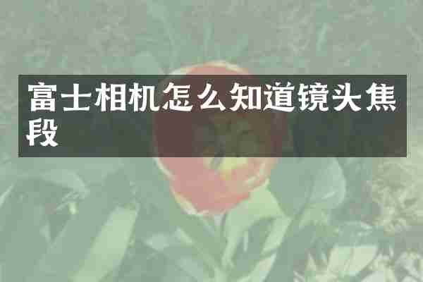 富士相机怎么知道镜头焦段