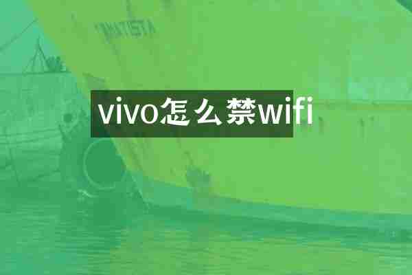 vivo怎么禁wifi