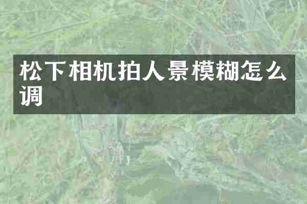 松下相机拍人景模糊怎么调