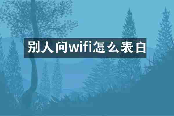 别人问wifi怎么表白