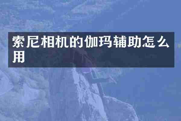 索尼相机的伽玛辅助怎么用