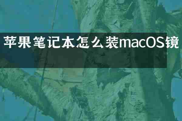 苹果笔记本怎么装macOS镜像