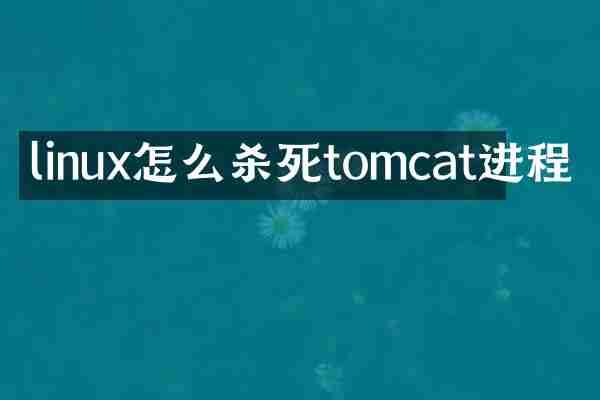linux怎么杀死tomcat进程