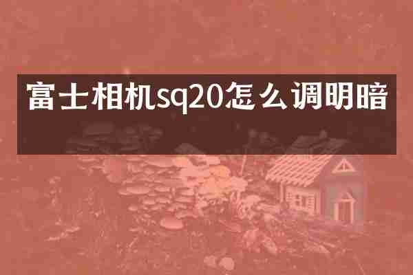 富士相机sq20怎么调明暗度